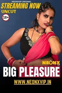Big Pleasure 2025 Hindi Short Film HDHub4u
